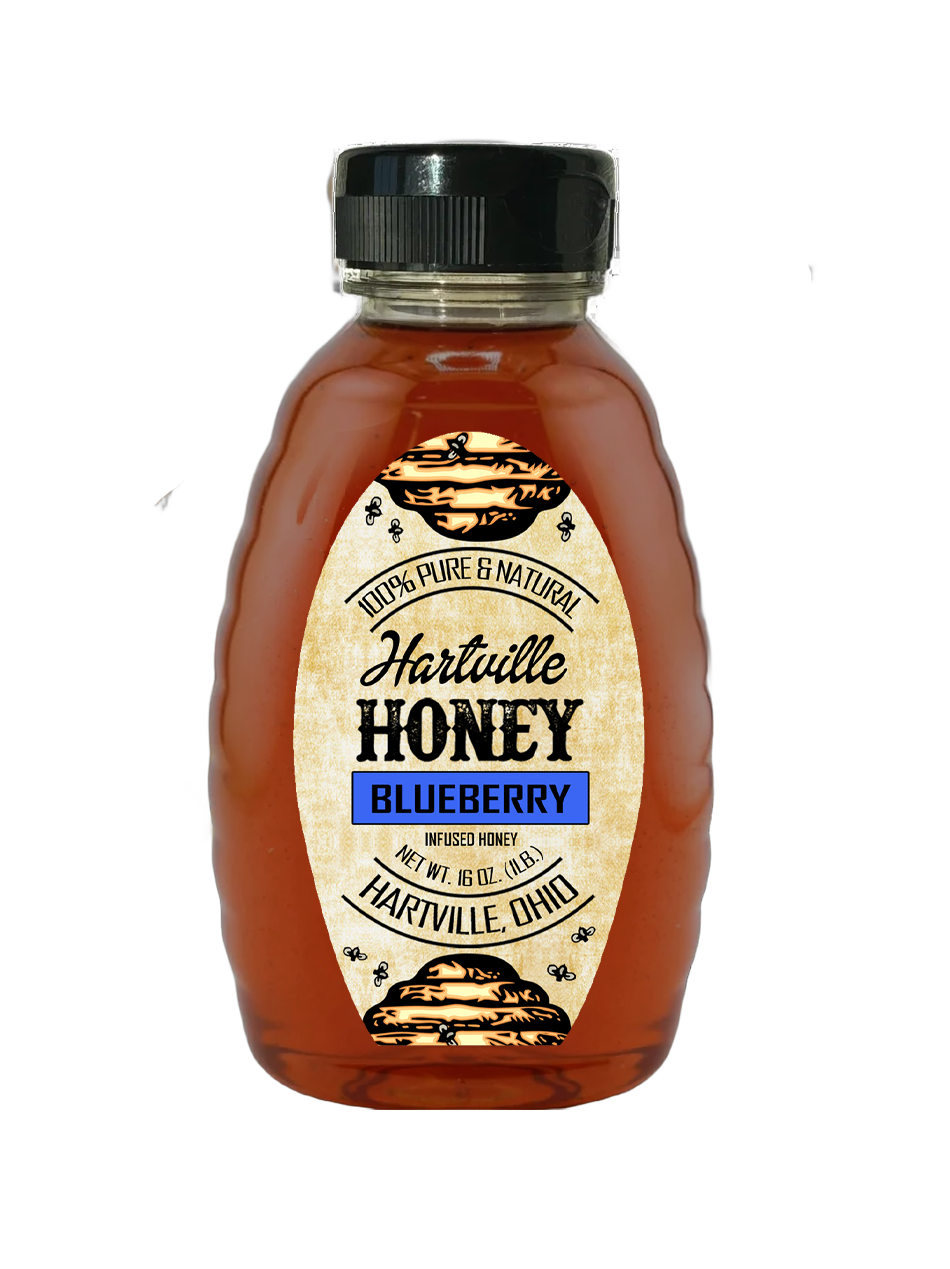 Blueberry Infused Honey - OHIO - 16 oz