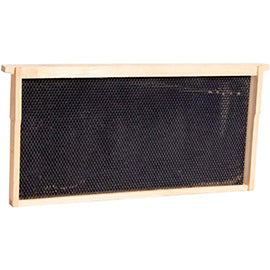 9-1/8 Deep Frame w/Rite-Cell® Black Waxed Foundation - Pine - Assembled