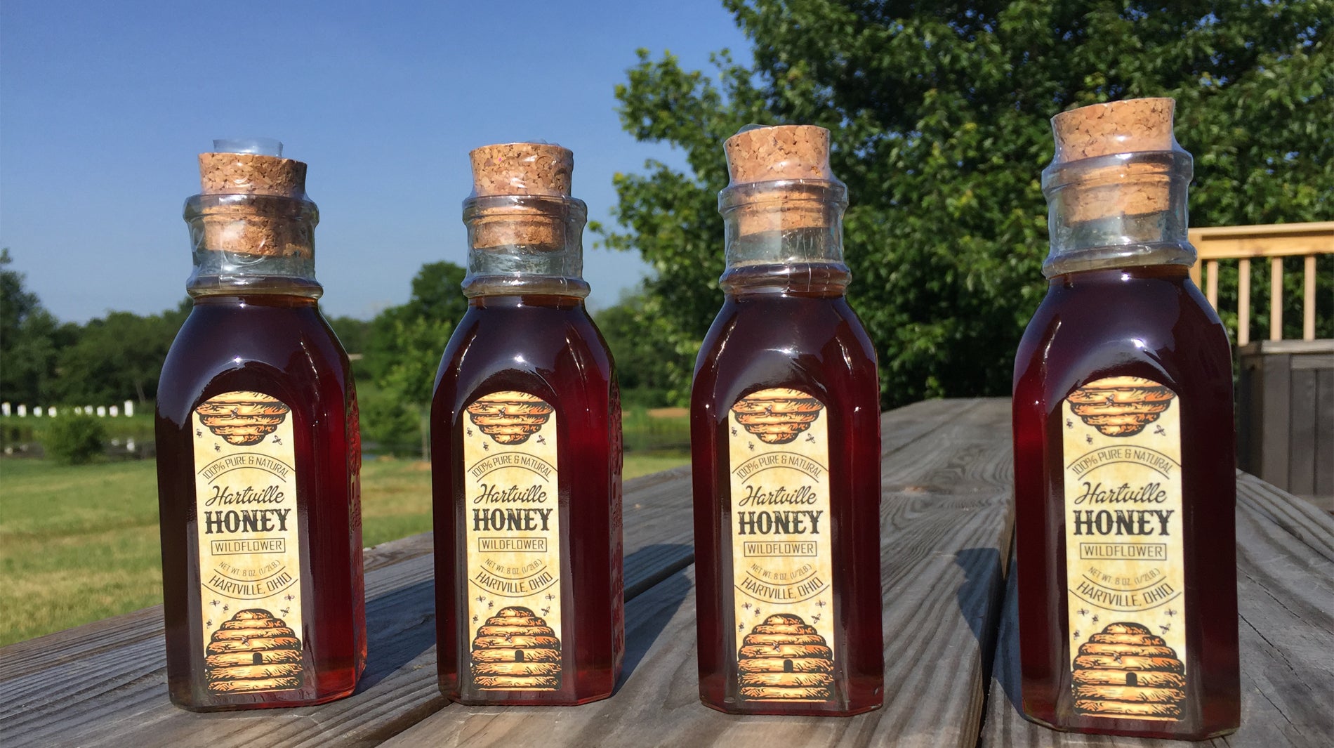 Ohio Overwintered Honey Bee Nucs - Raw Local Honey - Hartville