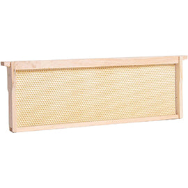 6-1/4 Medium Frame w/Rite-Cell® White Waxed Foundation - Pine - Assembled