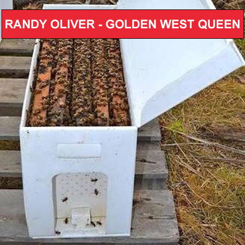 5 Frame NUC - 2026 Randy Oliver - Golden West Queen - $210 total - $110 Deposit - $100 due at pick up