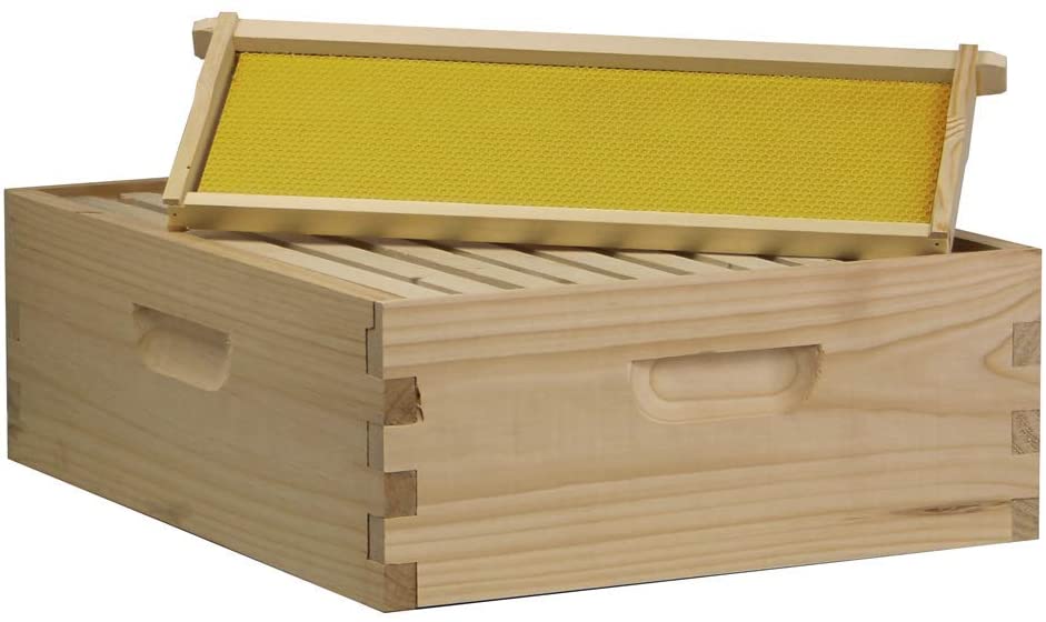 Complete Bee Hive - 2D,1M - USA Amish Made - 10 Frame Langstroth - 2 Deeps & 1 Honey Super - Pickup only