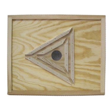 Triangle Bee Escape - 10 Frame - Assembled